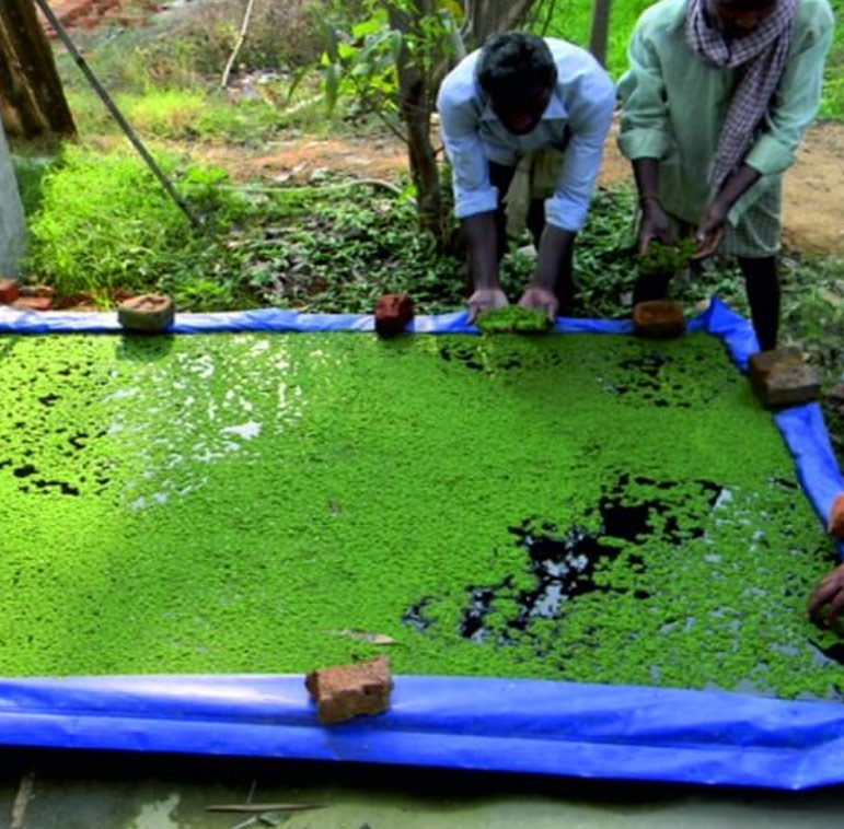 Agricultural Crop Protection