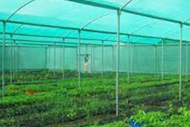 Greenhouses