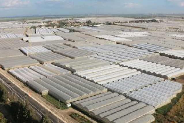 Skin Cancer Prevention