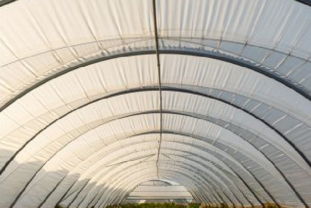 Furniture Fade Prevention