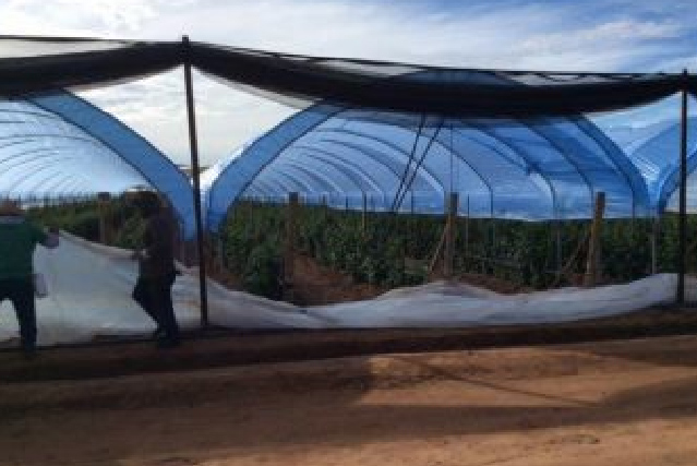 Window Glare Reduction