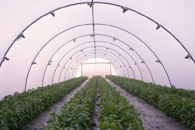Controlled Climate Cultivation