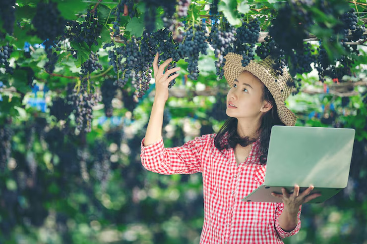 The Process of Writing the Perfect Blog Post, With Examples